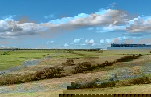 Rawcliffe House Farm - Foto 53