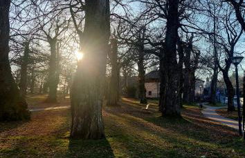 Rosa d' Inverno - Foto 39