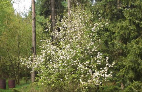 Ferienwohnung Huus ton witten Barg - Foto 7