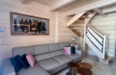 Żabie Dworki Witów Luxury Chalets & SPA - Foto 7