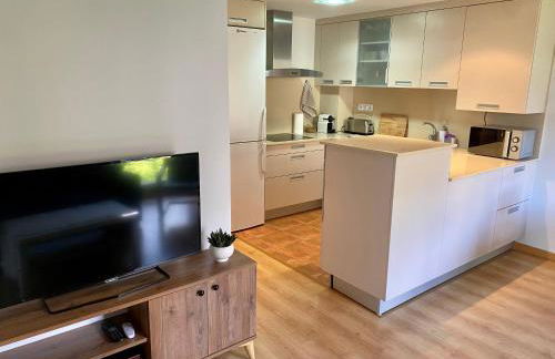 Apartamento Balcón del Ésera - Foto 8