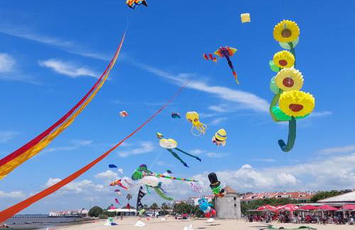 Jardim de Copas - Foto 41