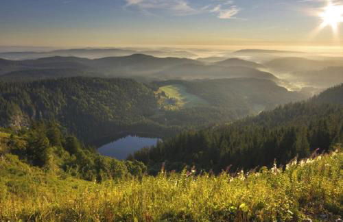 Ferienwohnung zwischen Rhein und Schwarzwald - Foto 26