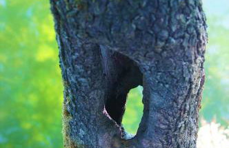 Apartments Korana, BelajskePoljice - Foto 14