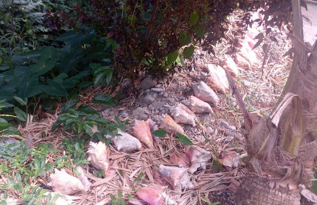 Binks appartments - Photo 24