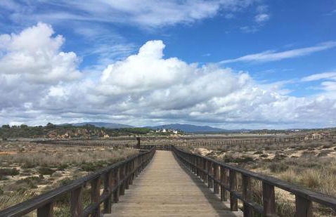 Vila da Praia - Apartamento Viva Local - Foto 47