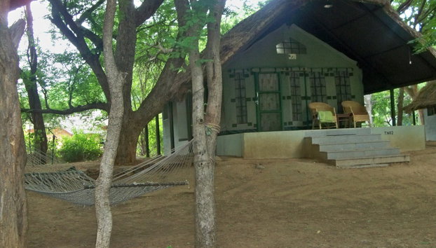 Cauvery Fishing Camp - Private Tour - Foto 2