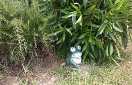 Villa In Lucca - Foto 28