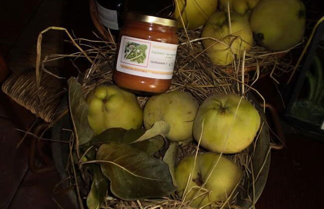 La Vecchia Fattoria - Foto 27