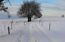 Ferienwohnung "Spatzennest" - Foto 7