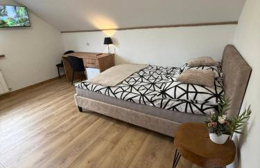 Apartament z tarasem i pokoje KLIMATYZOWANE -Drozdówka Solina - Foto 10