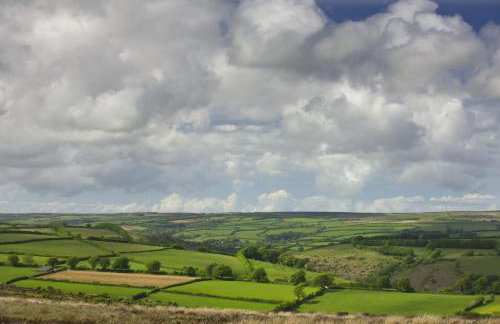 1 Lower Spire - Foto 21