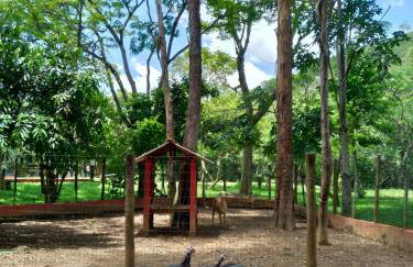 Sarandy Hotel Eco Parque - Photo 33