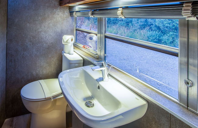 American School Bus - Blossom Farm - Foto 18