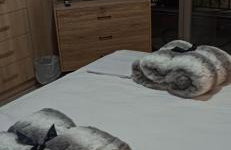 Δίδυμοι καταρράκτες apartment - Twin waterfalls apartment - Foto 41