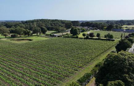 Le Ranch, charmante maison de style, proche de la mer et de Vannes dans le Golfe - Photo 22