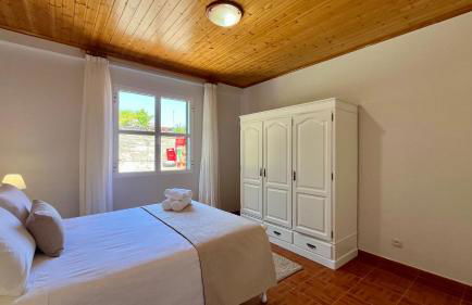 Domingos Reis - Foto 3