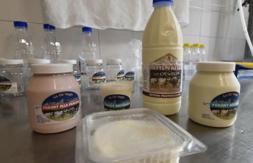 Apartment La Cà Vegia-3 by Interhome - Foto 43