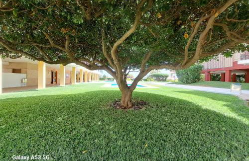 Estudio frente al mar - Foto 21