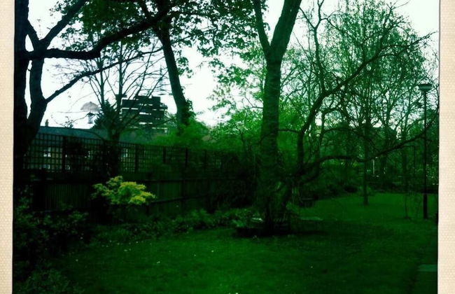 Boutique Bijoux Garden Flat in Vibrant Oval - Foto 28