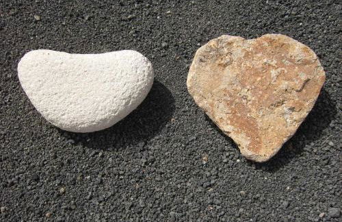 Casa Oscar - Foto 14