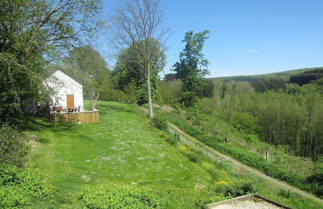 Perfect Spot on Edge of Large Woods with Hot Tub - Foto 20