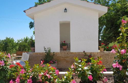 Agriturismo Masseria Mascitelli - Foto 43