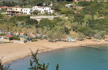 Il Frutteto Barbarossa - Foto 6