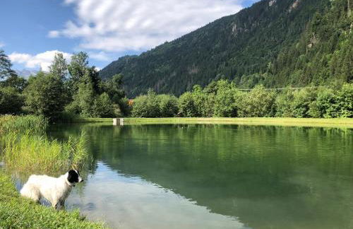 Chalet Rivière du Bon Nant Location de 6 à 14 personnes en Haute Savoie - Foto 47