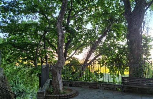 Cottage Lina - Photo 33