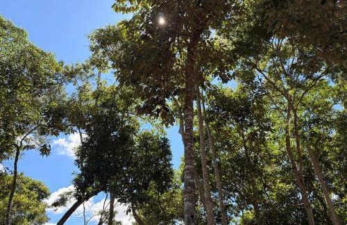 Casa 13 Floresta Boa Vista - Casa Espetacular com 6 Quartos e Arquitetura Única - Photo 48