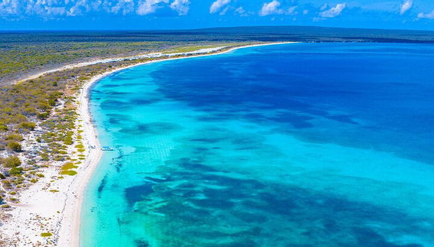 Katamaran-Kreuzfahrt nach Bahia de las Aguilas - Foto 5