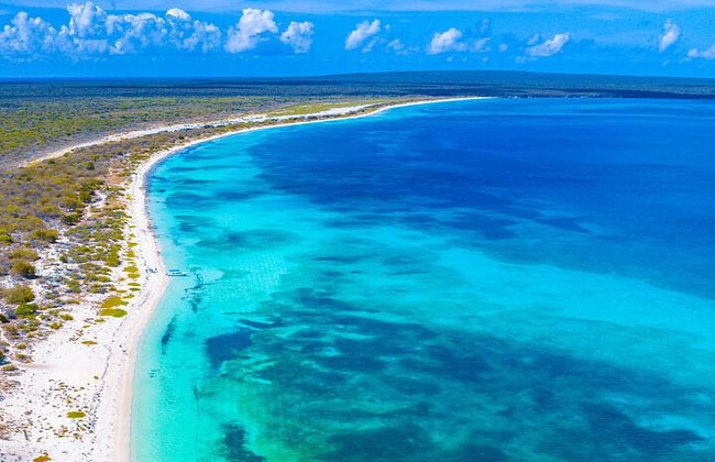Katamaran-Kreuzfahrt nach Bahia de las Aguilas - Foto 5