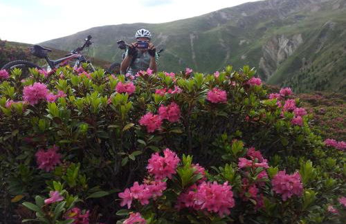 Residence Villa Maria - Foto 80