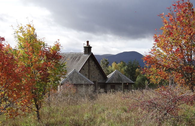 Shetland Cottage - Foto 31