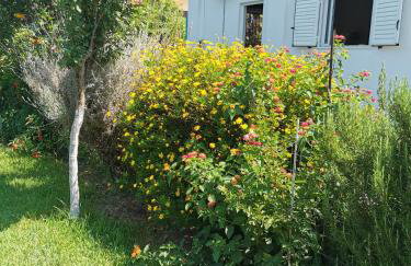 Kardiakafti Village - Foto 61