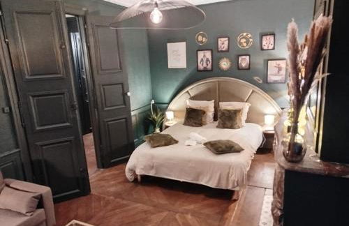 Nancy Vieille ville Stanislas - Foto 66