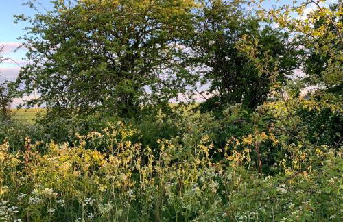 Luxury Pod-Sleeps 2-Hot Tub-Pets-Garden - Foto 13