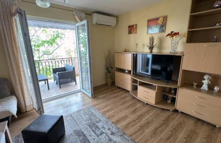 Apartman Dani - Foto 37