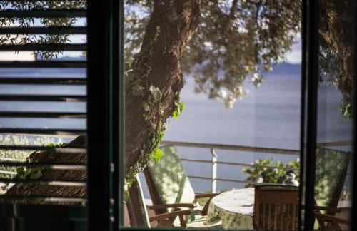 Apartments Ante - Foto 15