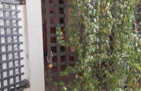 Piccola Azzurra - Foto 15