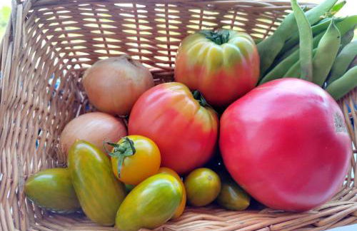 Apartamento con vistas a la ría - Foto 13