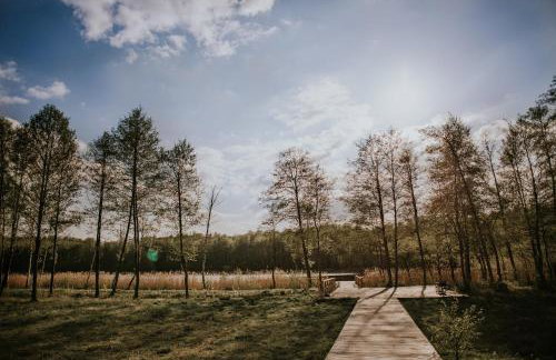 Weranda Home - Foto 23