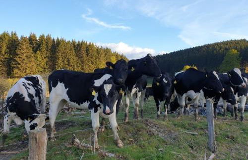 Holiday apartment with 2 bedrooms - Foto 31