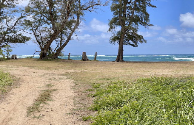 Kauai Plantation Hale Suites E12 1 Bedroom Condo - Foto 18