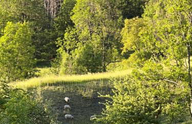 Chalet Altus - Photo 59