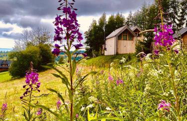 Wygórowane - nowoczesne stodoły pod Tatrami - Foto 33