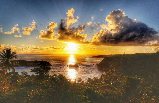 Blue Whale Villa - Photo 68