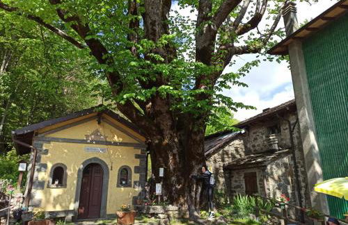 Residence le Polle - Foto 63