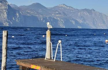 Villa Sonja - Foto 34